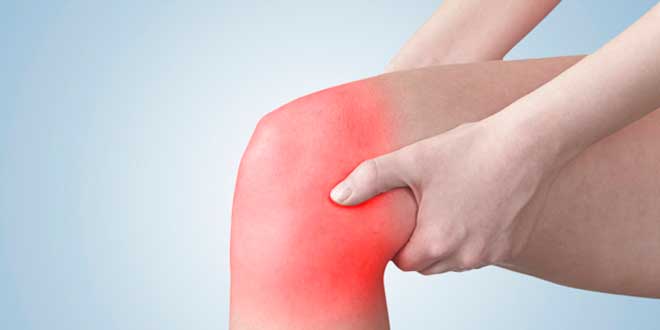 Ajo Antiinflamatorio