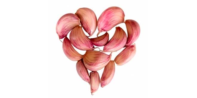 Ail et Santé du Coeur