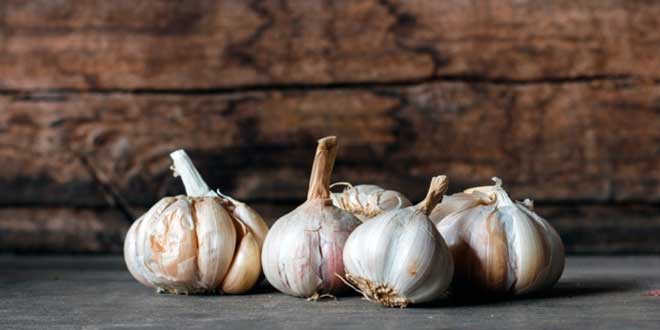Avantages médicaux de l'Ail