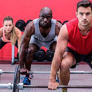 Fonctions des protéines