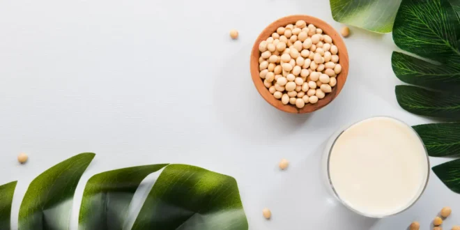 Les meilleurs aliments pour recharger les électrolytes dans le corps