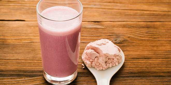 Protéine pour les femmes en Ménopause