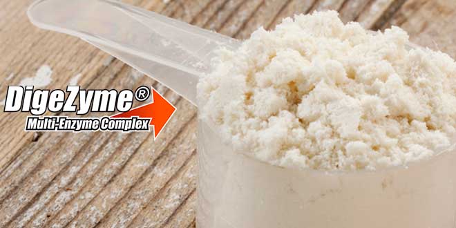 Prébiotiques : bienfaits et propriétés