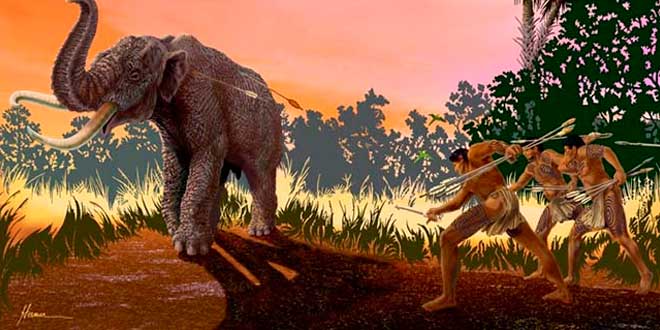 Protéines Paleo Protéines Paleo