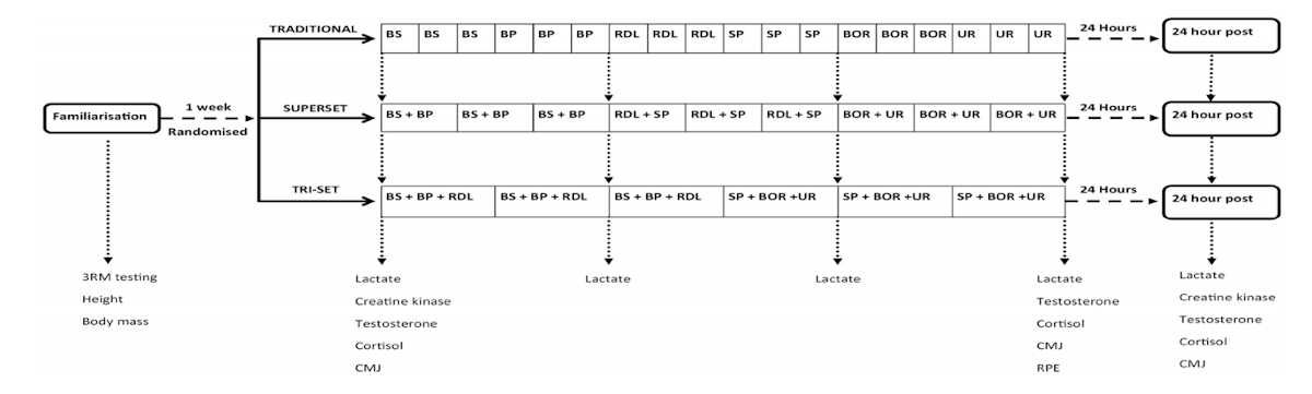 Protocole entraînement