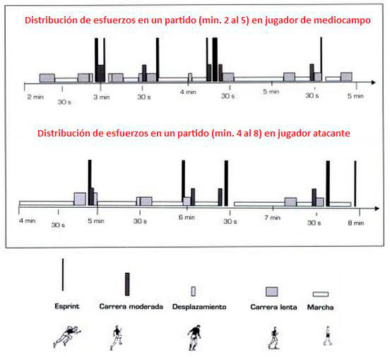 Comment se répartit l'effort dans un match de football ?