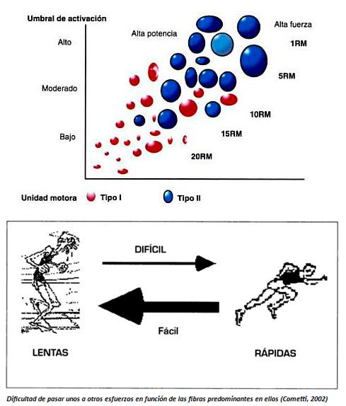 Seuil d'activation du footballeur
