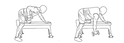 Collagène et entraînement