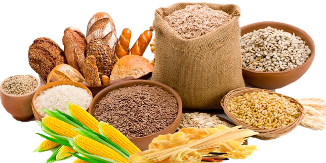 Aliments riches en glucides