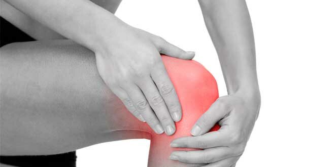 Suppléments pour les Articulations