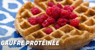 Gaufre protéinée