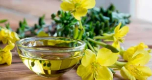 Huile d’onagre : découvre-la en profondeur