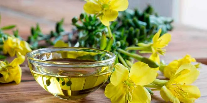 Huile d&rsquo;onagre : découvre-la en profondeur