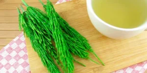 Queue de Cheval, un diurétique naturel