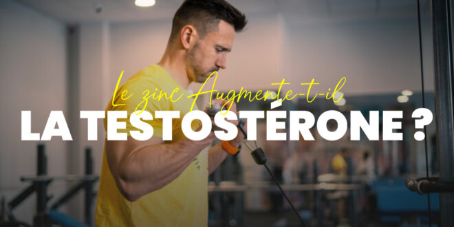 Est-ce que le zinc augmente la testostérone ? Est-ce que le zinc augmente la testostérone ?