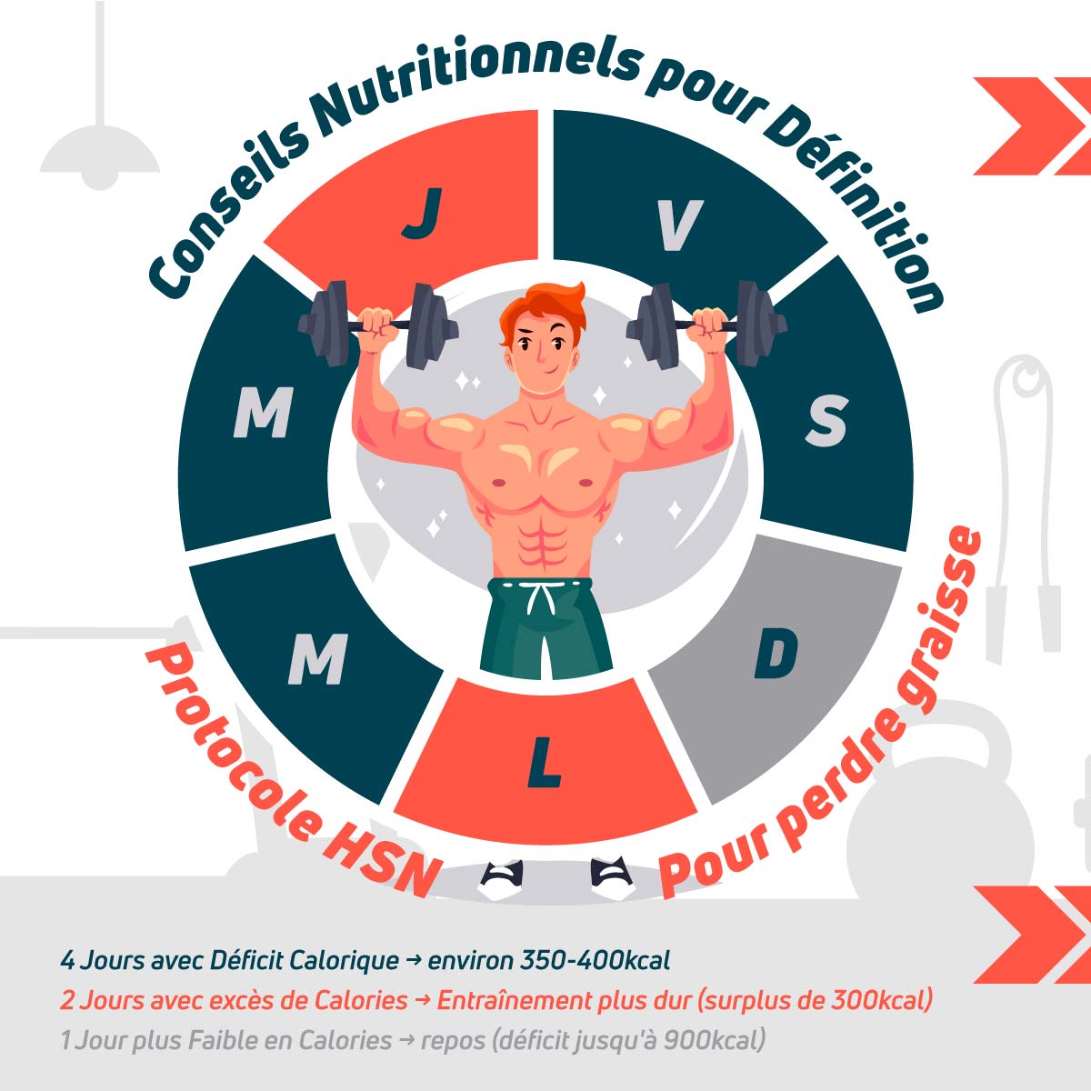 Protocole HSN pour Perdre de la Graisse