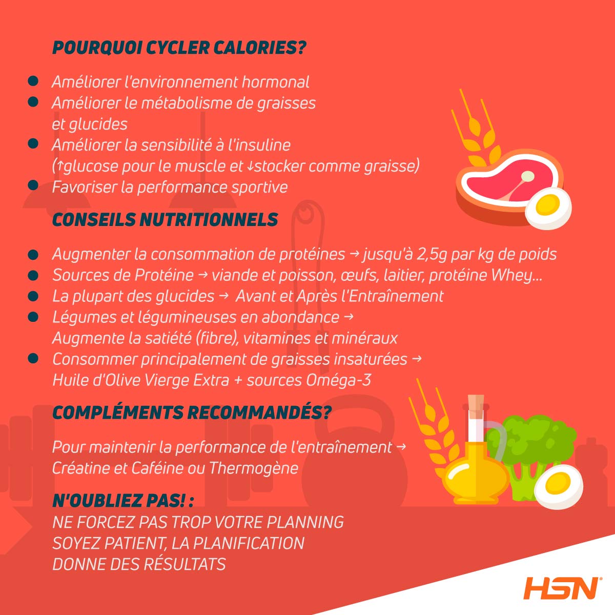 Protocole HSN pour Perdre de la Graisse 2