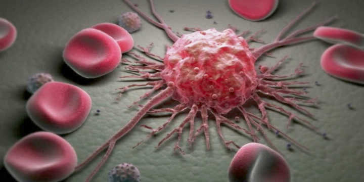 Shiitake comme traitement contre le Cancer