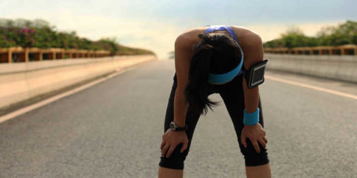 Shiitake contre la fatigue