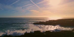 Huile de Krill : bien plus qu’un aliment tendance