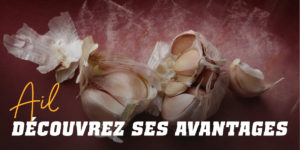 Ail, découvrez ses avantages