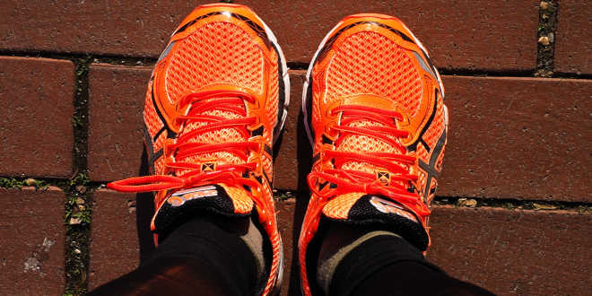 Glucides et apport d'énergie