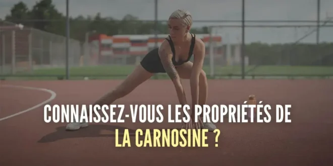 Carnosine : propriétés et bienfaits Carnosine : propriétés et bienfaits