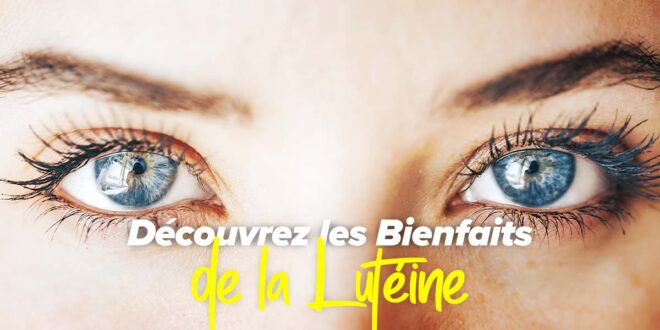 Lutéine : bienfaits pour la santé oculaire et comment l’obtenir