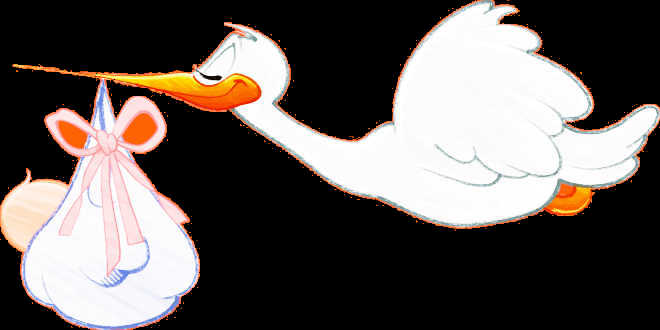 L'arrivée du Bébé