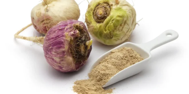 Qu’est-ce que la Maca Andine et quels sont ses bienfaits ? Qu’est-ce que la Maca Andine et quels sont ses bienfaits ?