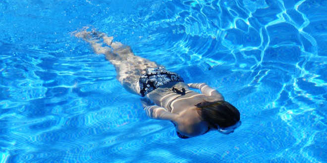 Avoine et sa teneur en glucides