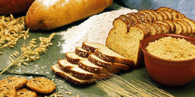 Avoine faible en gluten