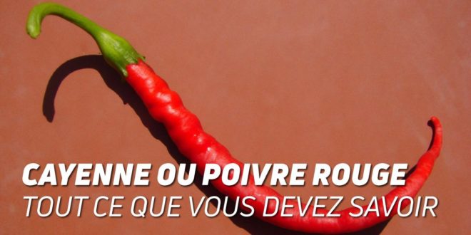 Cayenne ou Piment Rouge – Tout ce que vous devez Savoir!