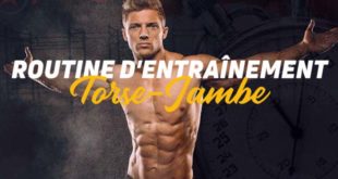 Routine Torse Jambe Semaine 1