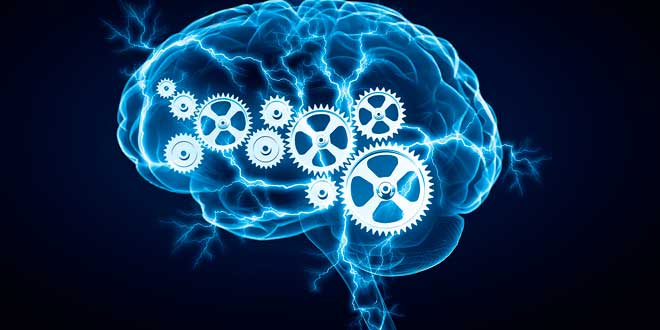 Tyrosine et la santé du cerveau Tyrosine et la santé du cerveau