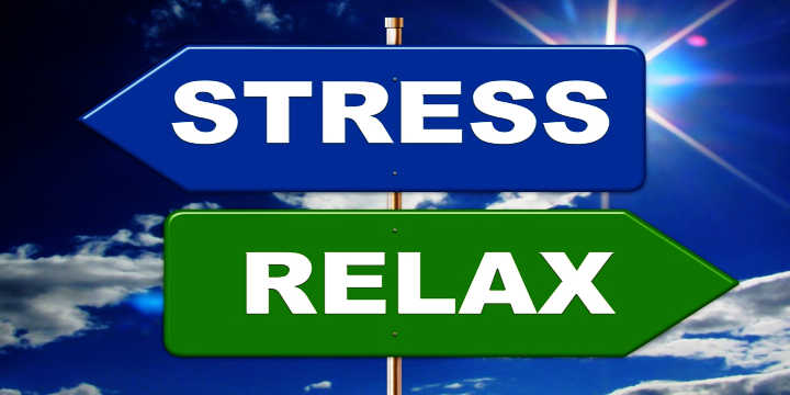 Damiana pour le stress