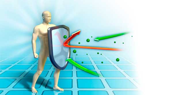 Glutamine et Système Immunitaire