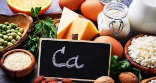 Aliments riches en calcium (laitiers et autres)