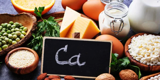 Aliments riches en calcium (laitiers et autres) Aliments riches en calcium (laitiers et autres)