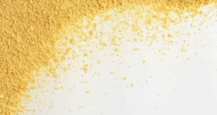 Levure de Bière, indispensable pendant la grossesse !