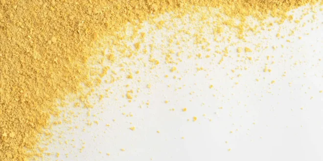 Levure de Bière, indispensable pendant la grossesse !