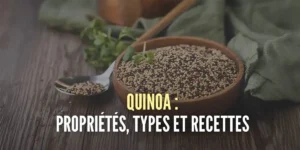 Quinoa, propriétés et recettes du superaliment