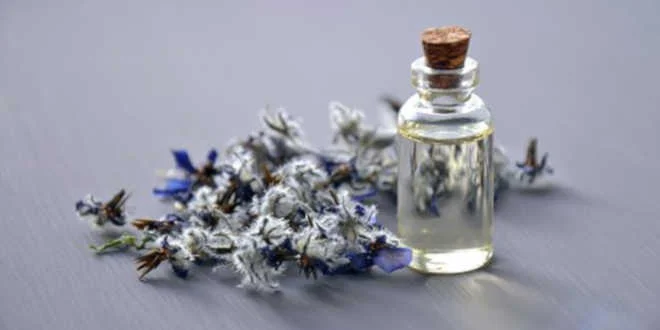 Huile de Bourrache – Allié pour la santé de la peau mature Huile de Bourrache – Allié pour la santé de la peau mature