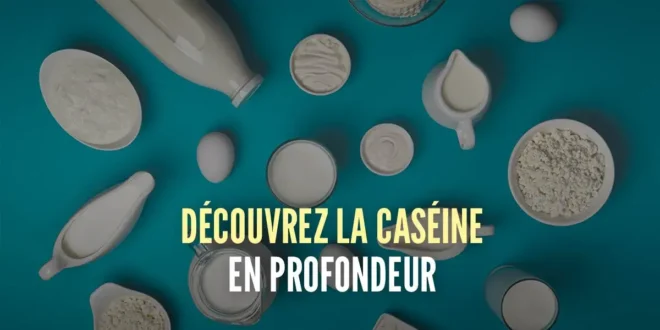 Caséine: Tout ce qu'il faut savoir sur la source de protéine