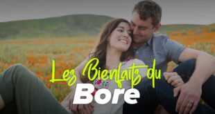 Bore – Bienfaits, Propriétés, Quand le prendre…