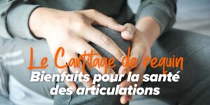 Cartilage de requin : propriétés et bienfaits pour la santé articulaire