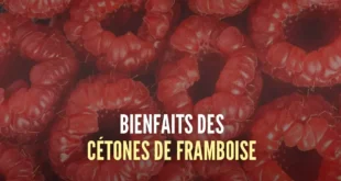 7 bienfaits des cétones de framboise pour maigrir