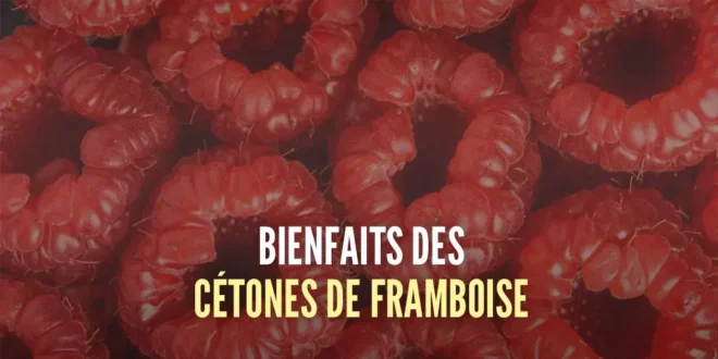 7 bienfaits des cétones de framboise pour maigrir