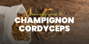 Cordyceps