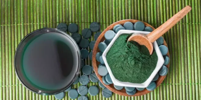 Qu’est-ce que la Chlorella et quels sont ses bienfaits pour la santé Qu’est-ce que la Chlorella et quels sont ses bienfaits pour la santé